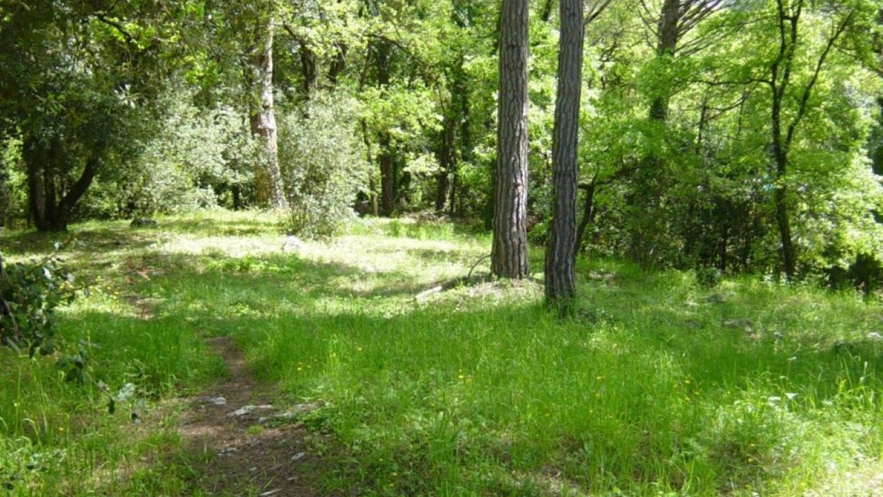 Photo of Outdoor in Peymeinade