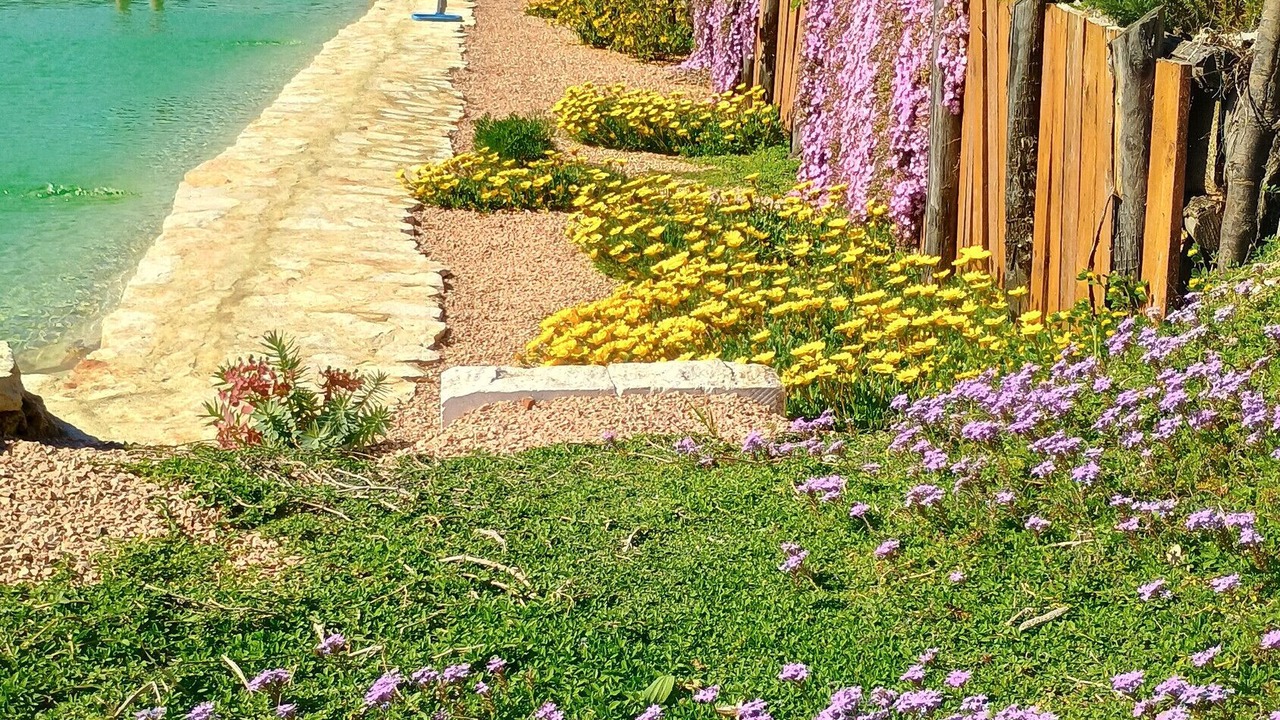 Photo of Outdoor in Riparbella