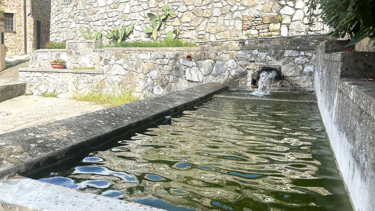Photo of Others in Corsanico