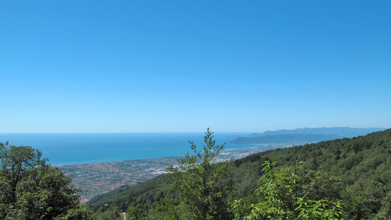 Photo of Others in Montignoso