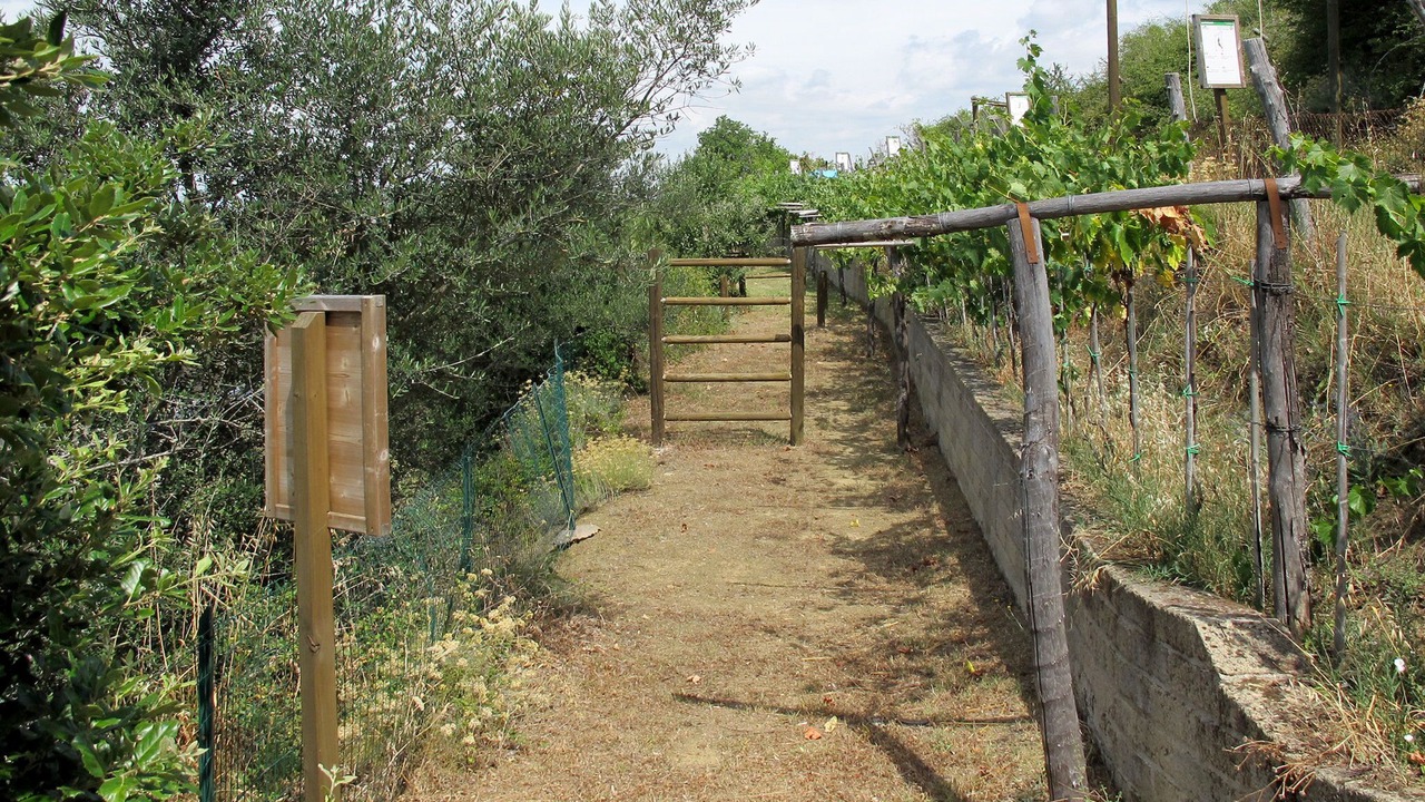 Photo of Outdoor in Paciano