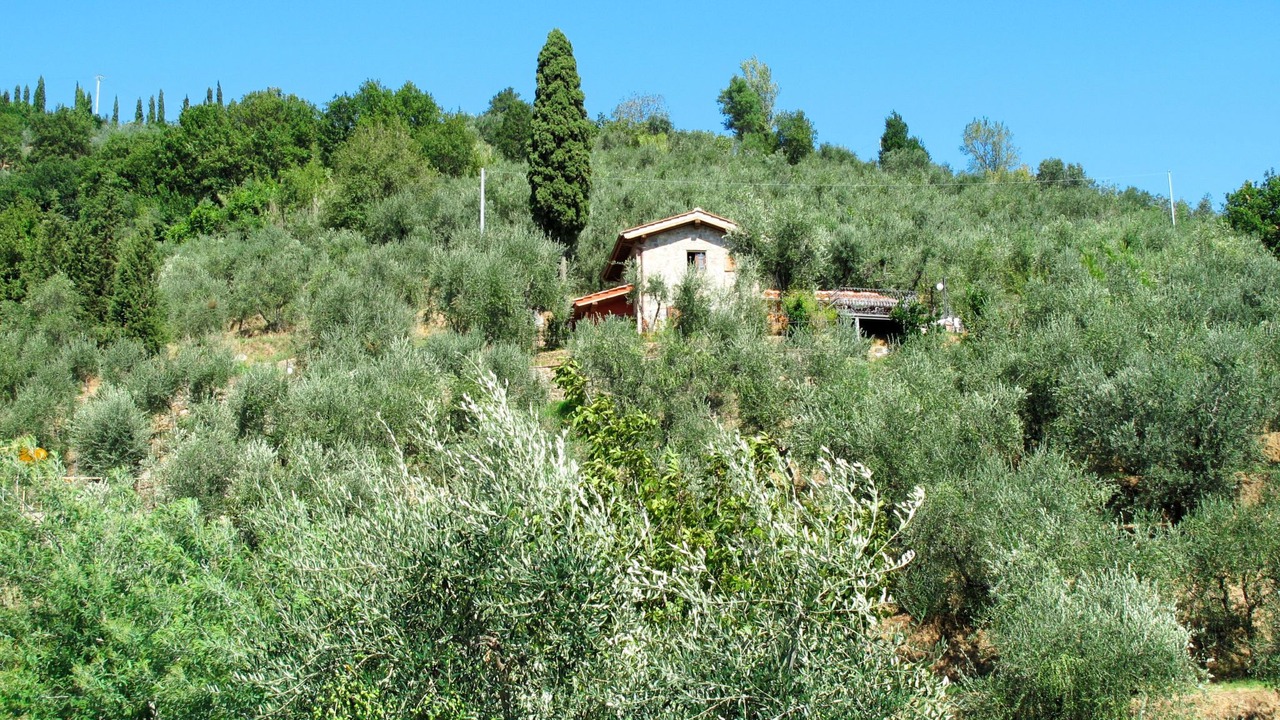 Photo of Others in Margine Coperta-Traversagna