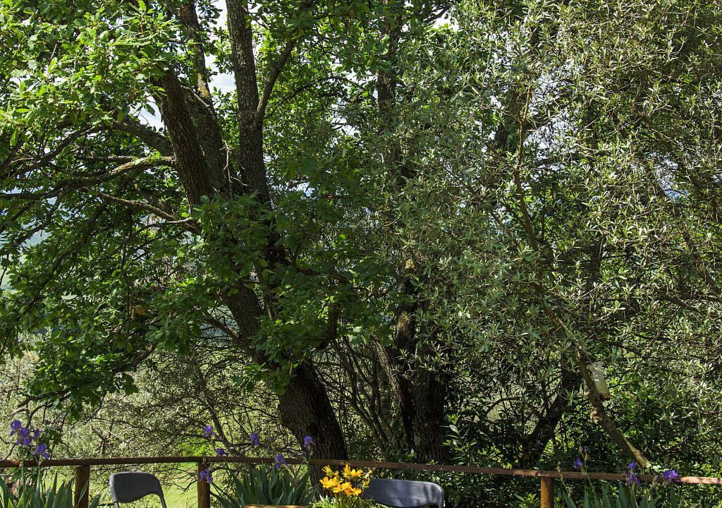 Photo of Outdoor in Volterra