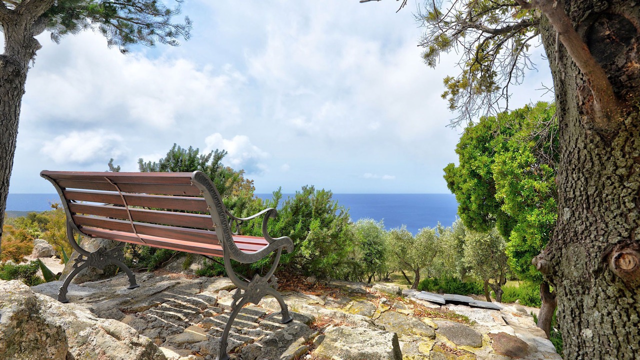 Photo of Outdoor in Marciana