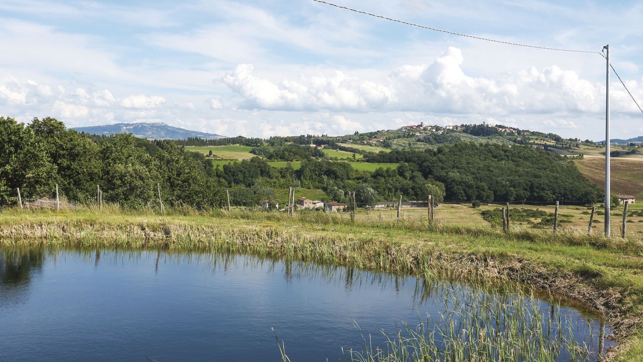 Photo of Others in Terricciola