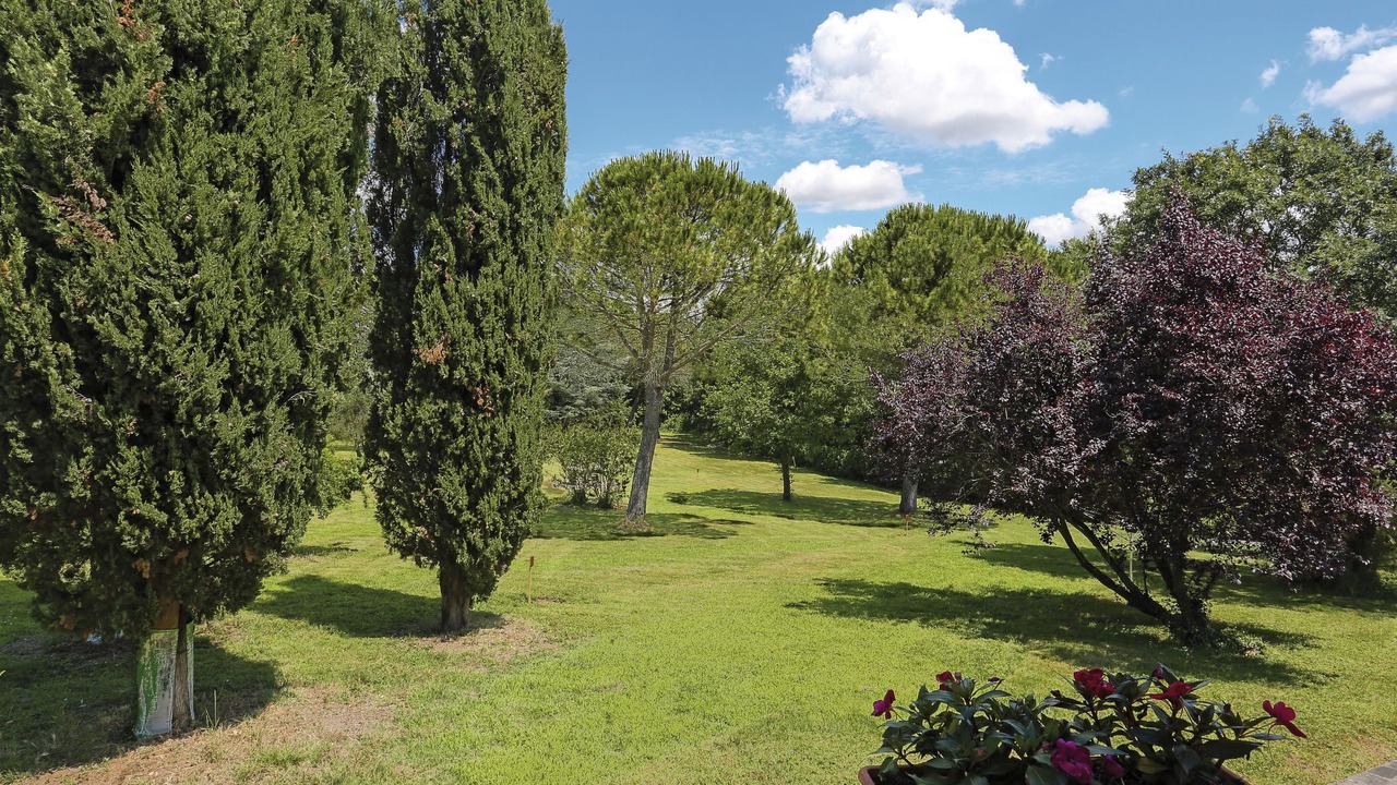 Photo of Others in Terricciola