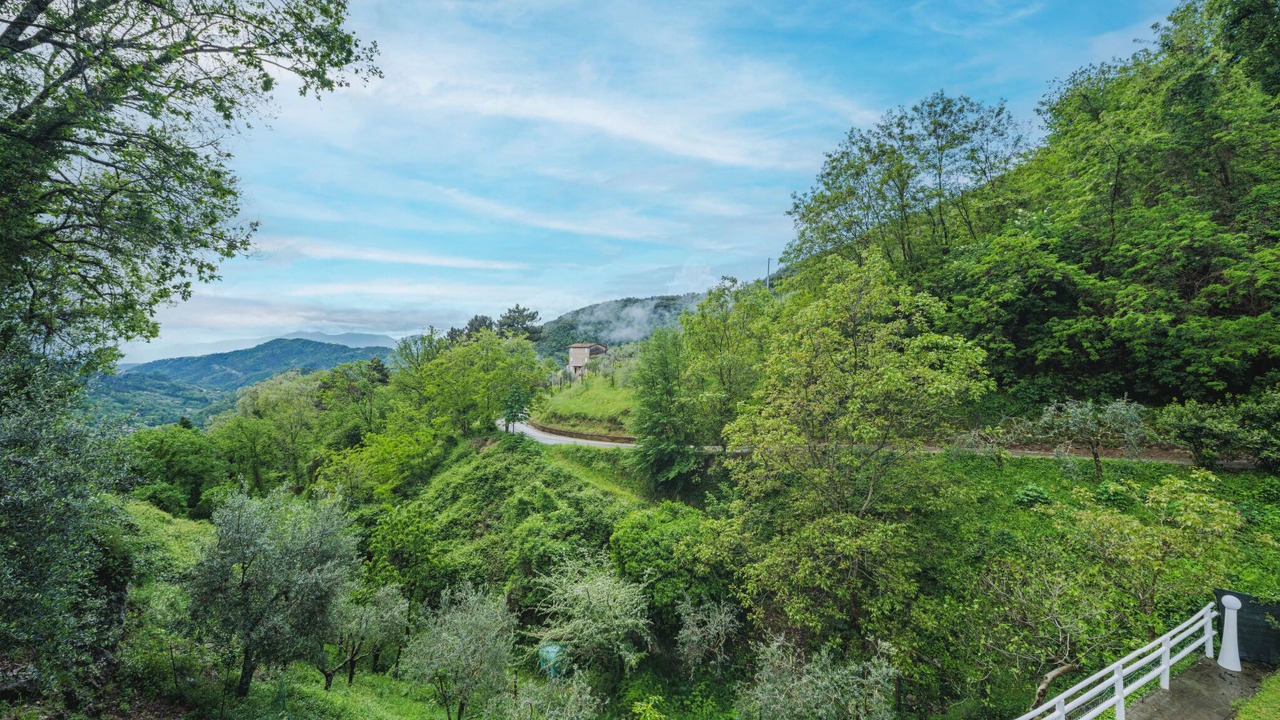 Photo of Others in Pescaglia