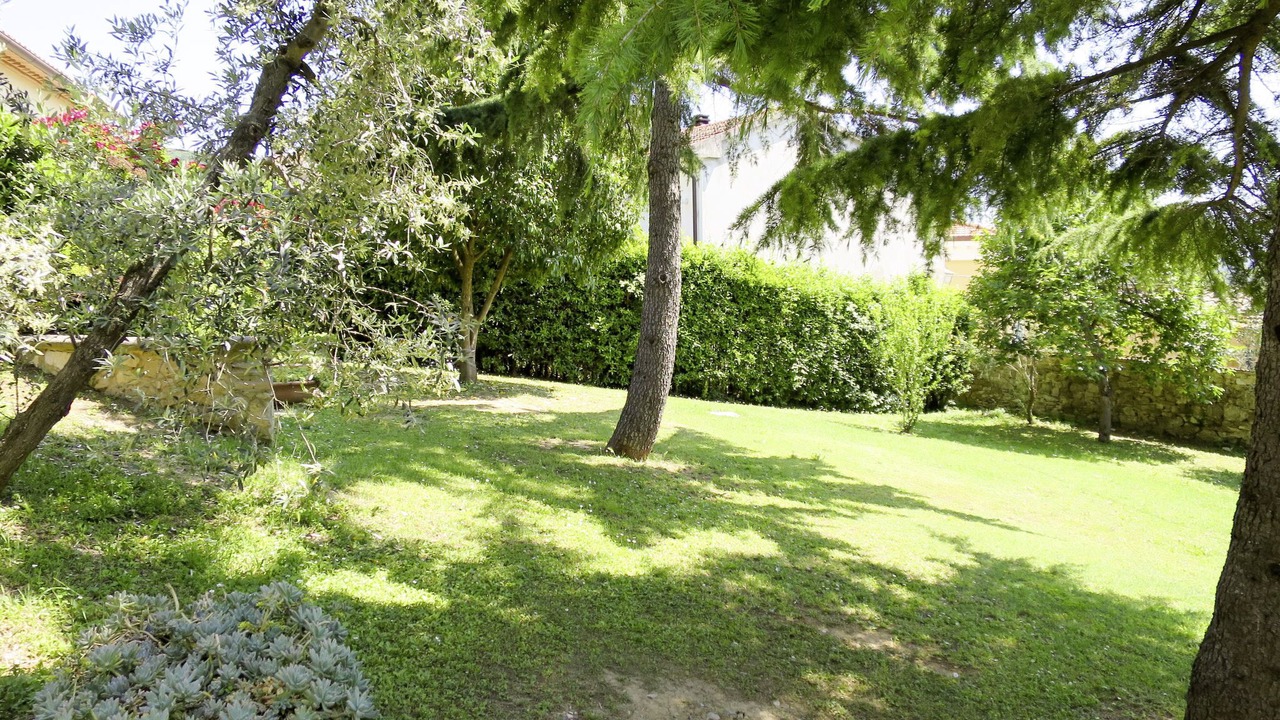 Photo of Others in Santa Luce