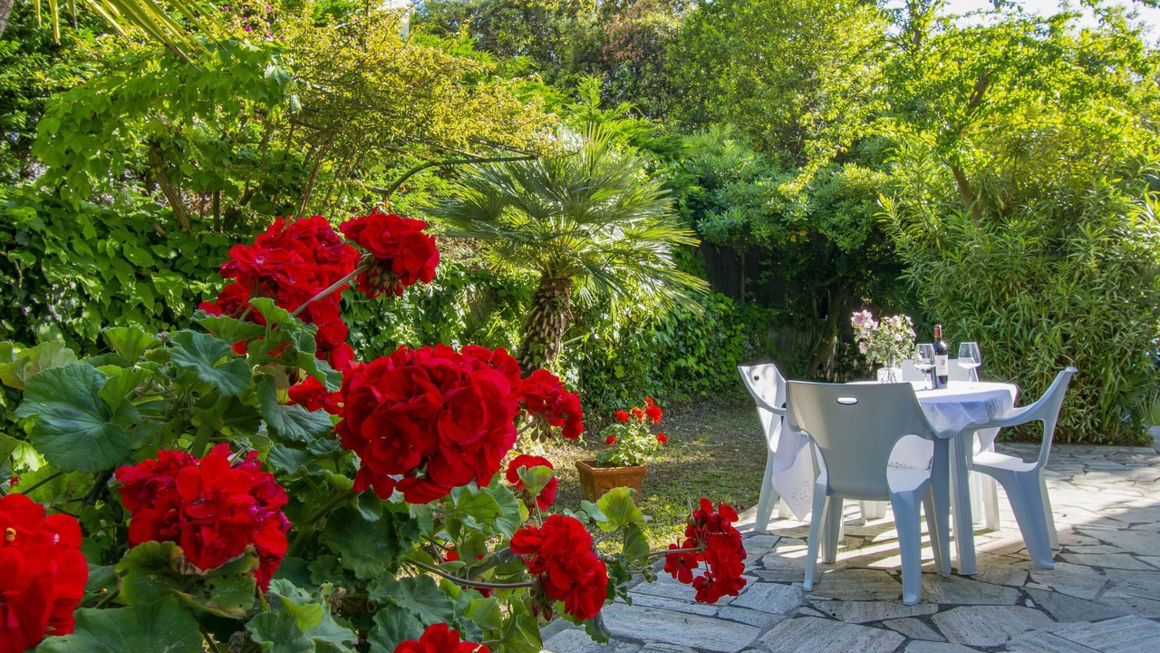 Photo of Outdoor in Rosignano Marittimo