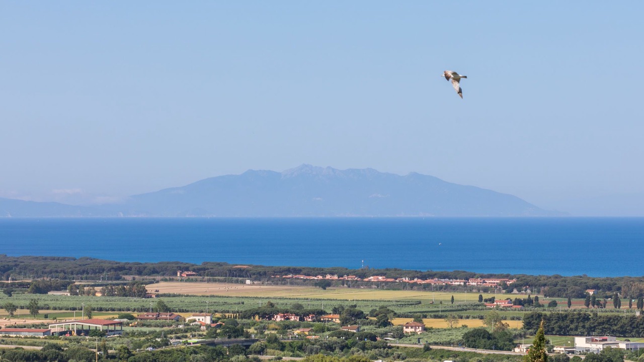 Photo of Others in San Vincenzo