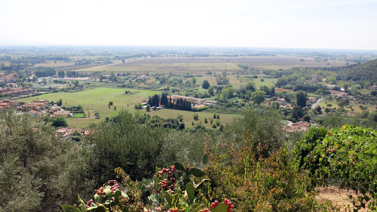 Photo of Others in San Giuliano Terme