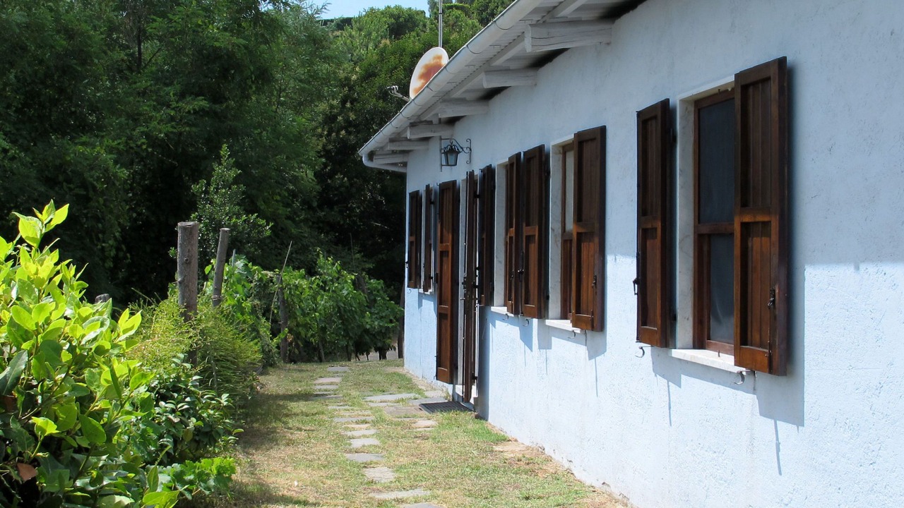 Photo of Others in Montignoso