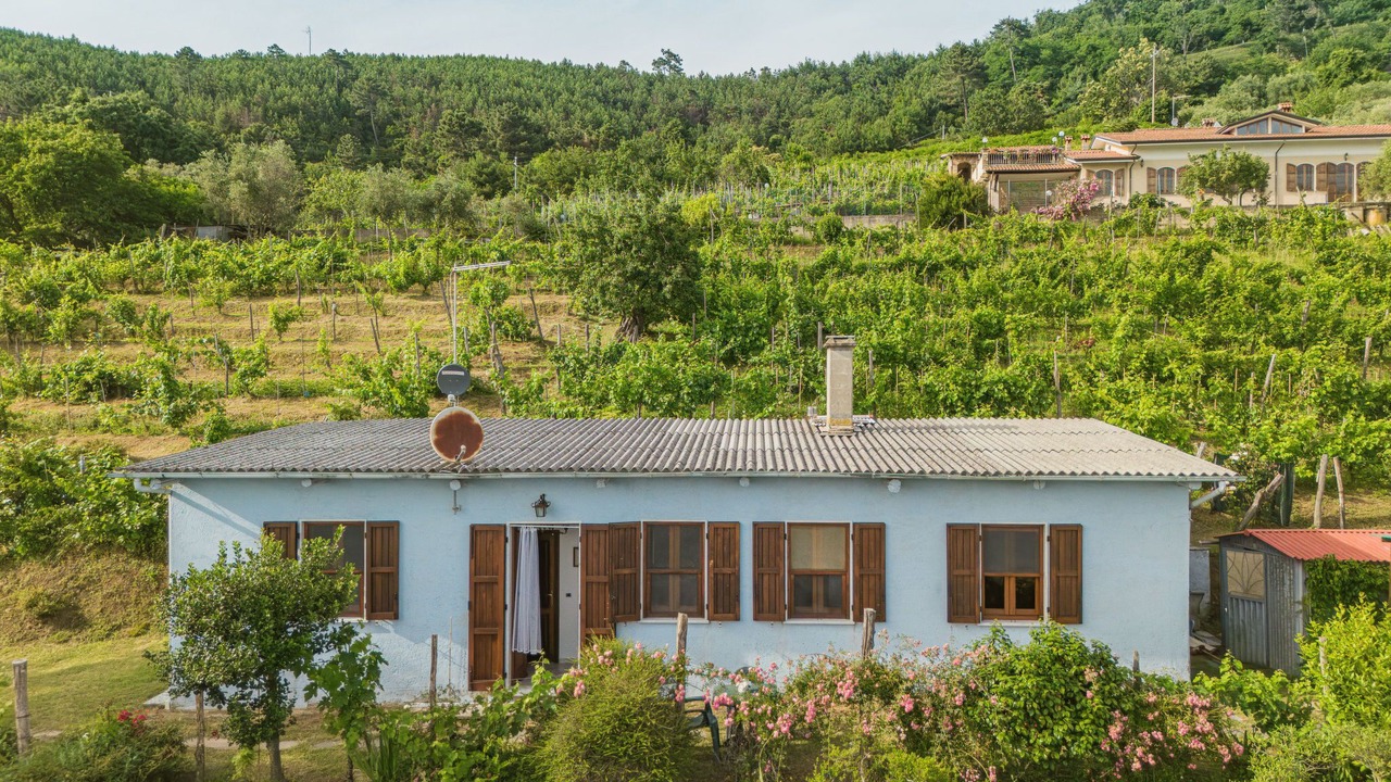Photo of Others in Montignoso