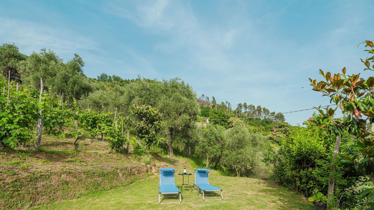 Photo of Others in Montignoso