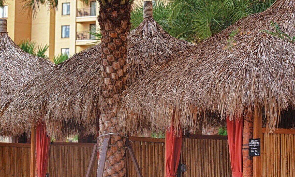 Photo of Outdoor in Lake Buena Vista