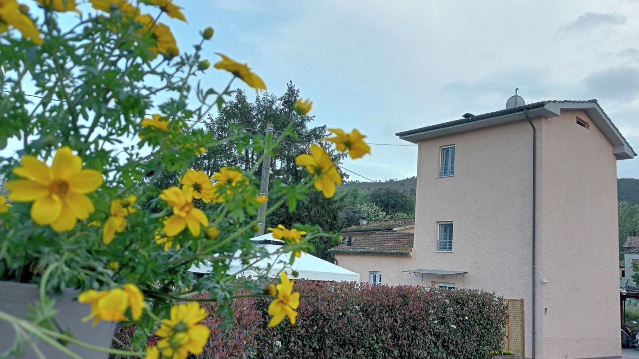 Photo of Outdoor in Pieve di Compito