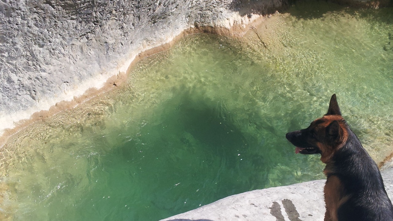 Photo of Others in Berre-des-Alpes