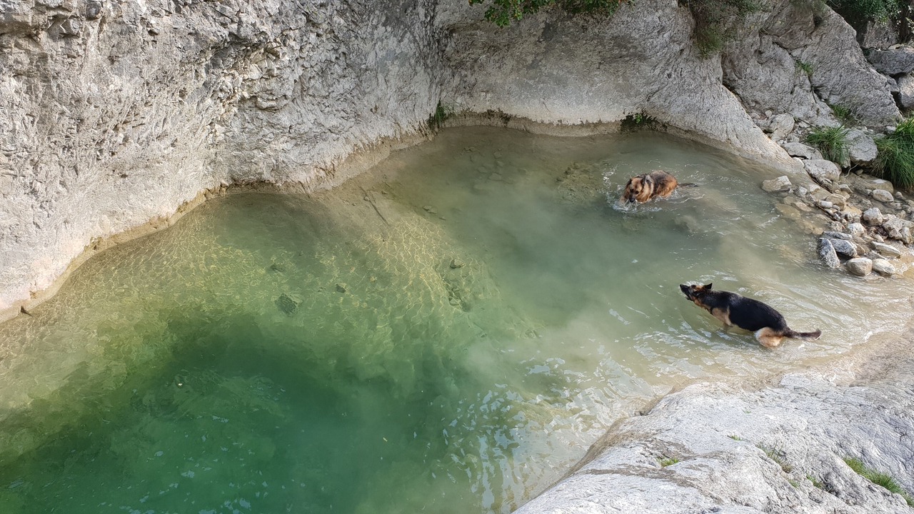 Photo of Others in Berre-des-Alpes