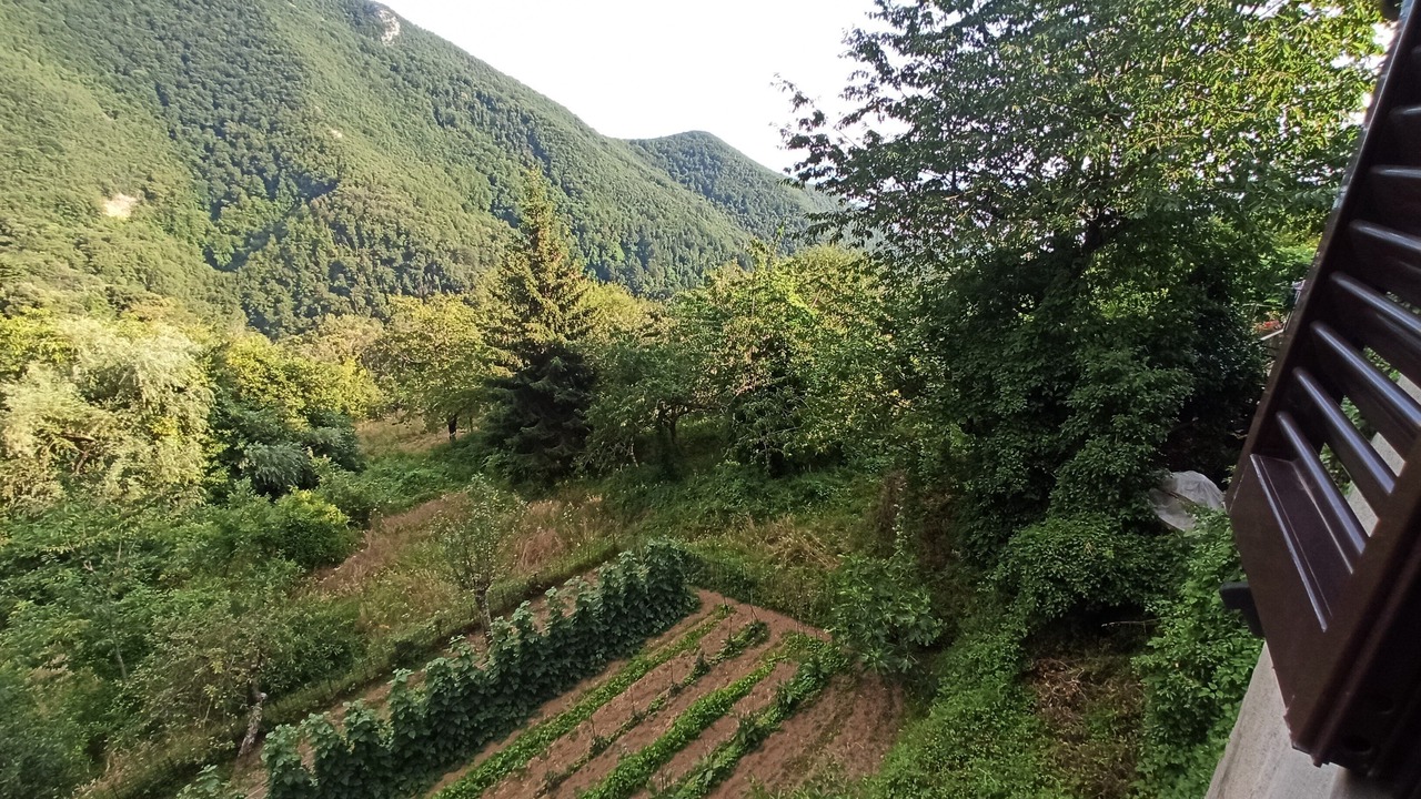 Photo of Outdoor in Stazzema