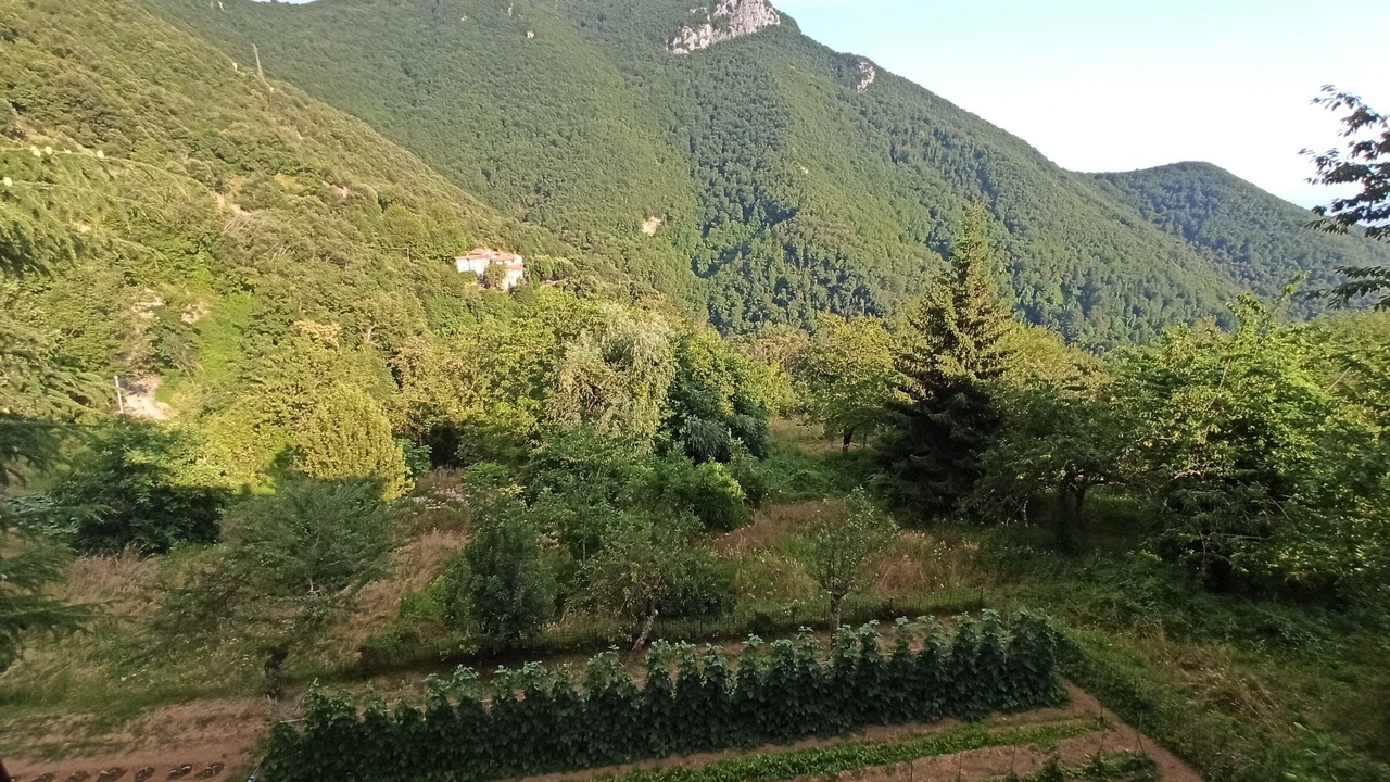 Photo of Others in Stazzema