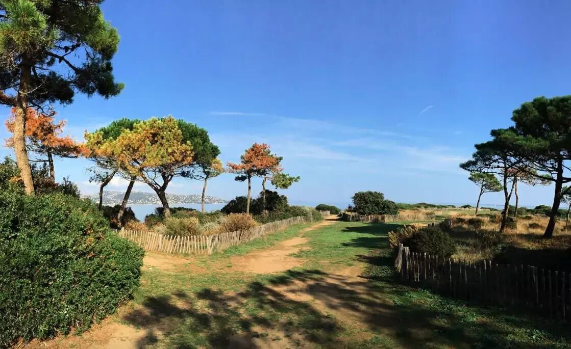Photo of Others in Sainte-Maxime