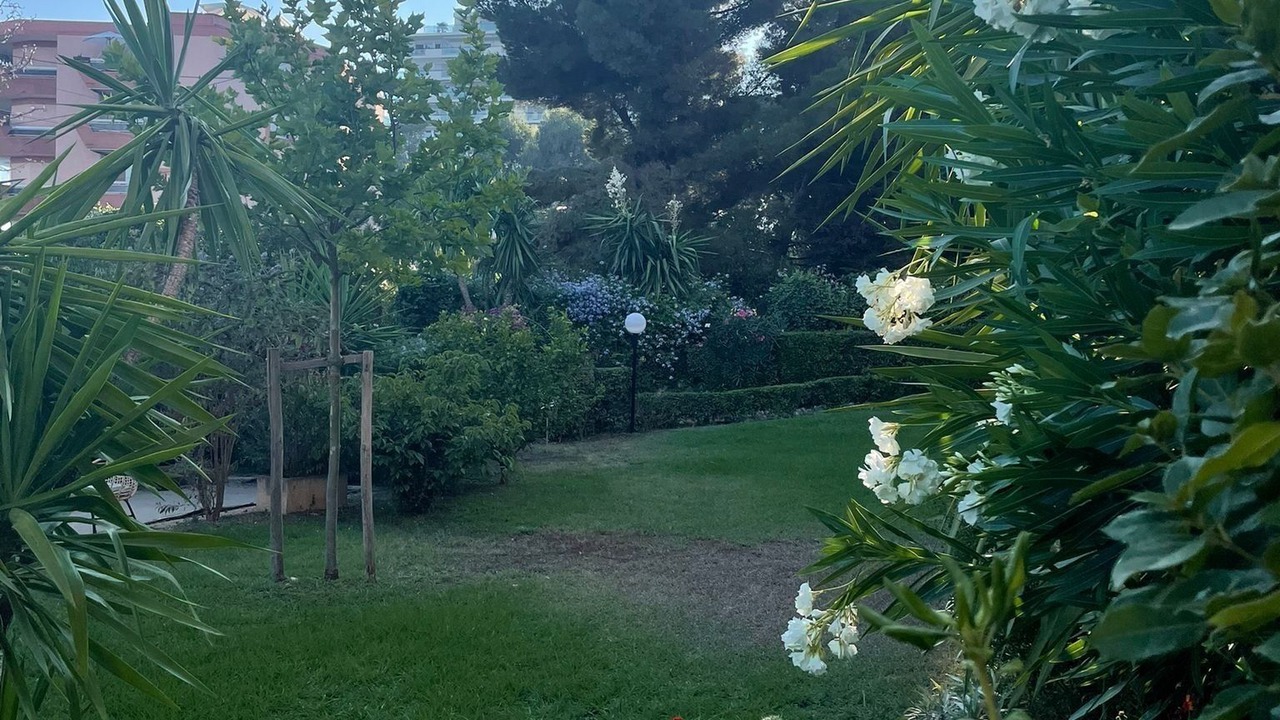 Photo of Outdoor in Cannes La Bocca