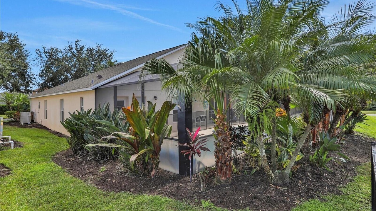 Photo of Outdoor in West Kissimmee