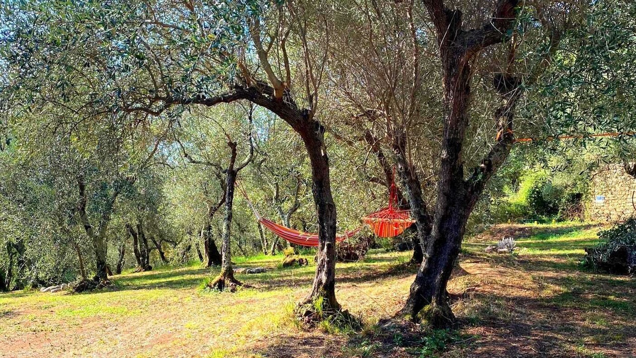 Photo of Outdoor in Vicopelago