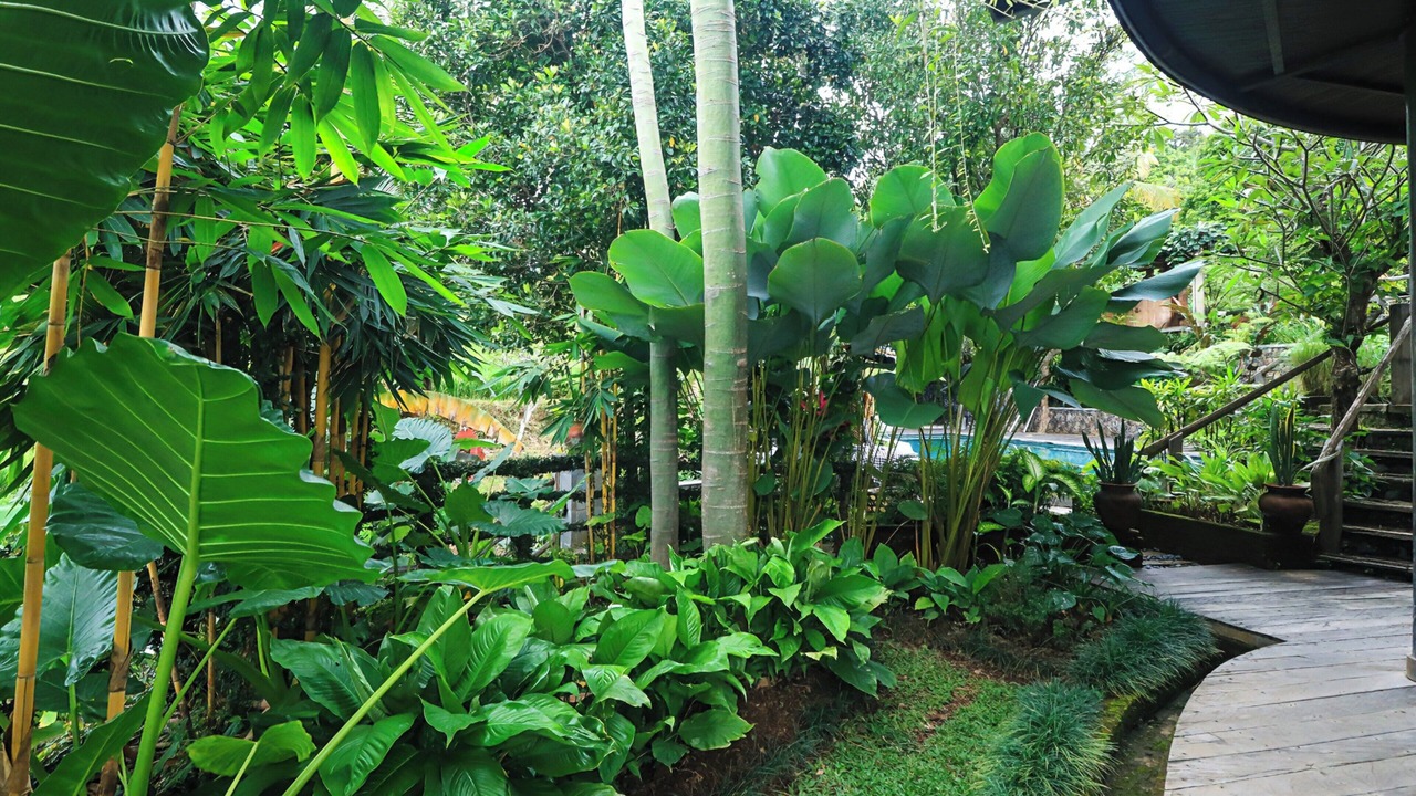 Photo of Patio Balcony in Sukasada