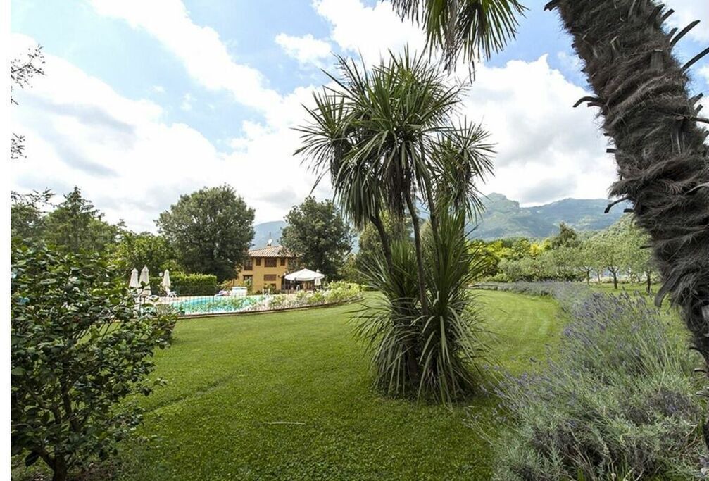 Photo of Outdoor in Camaiore