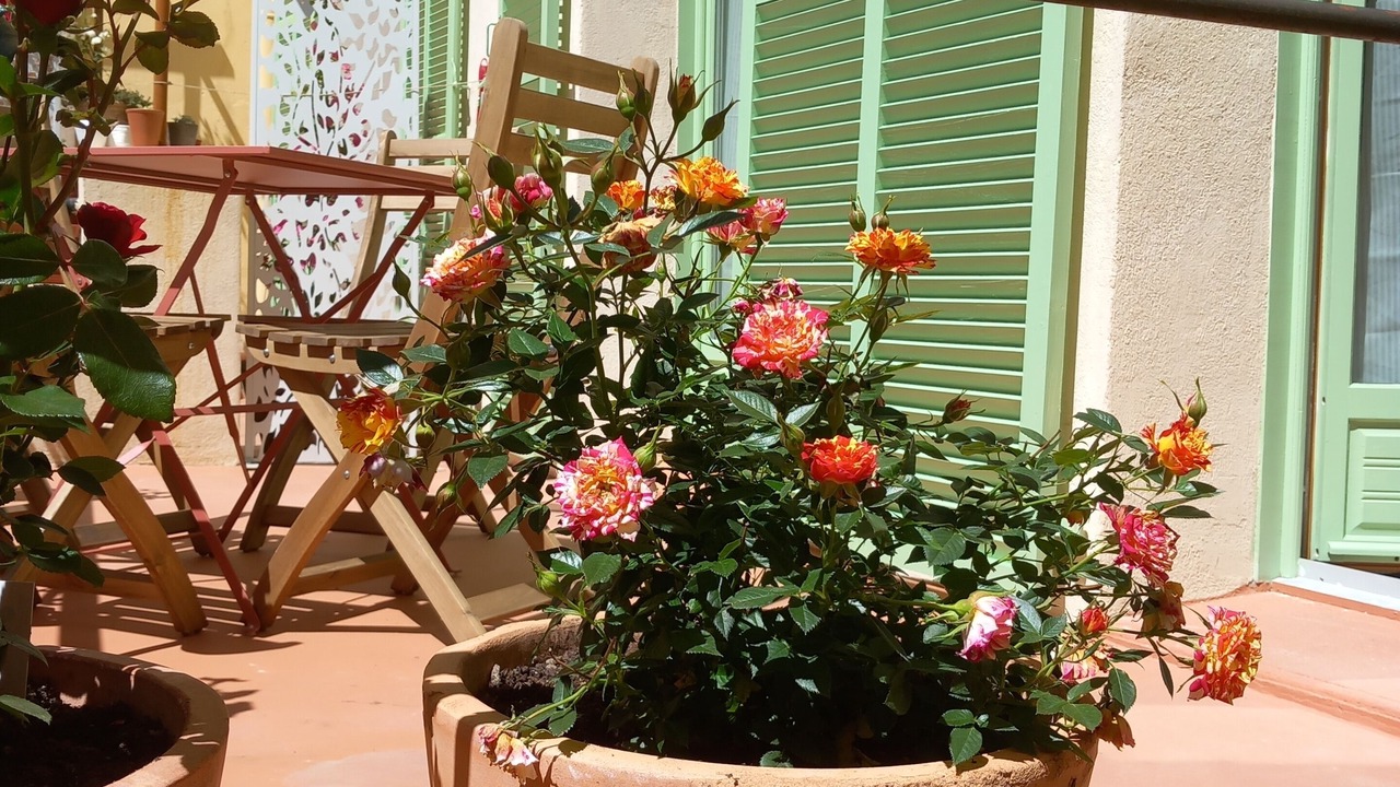 Photo of Outdoor in Cros-de-Cagnes
