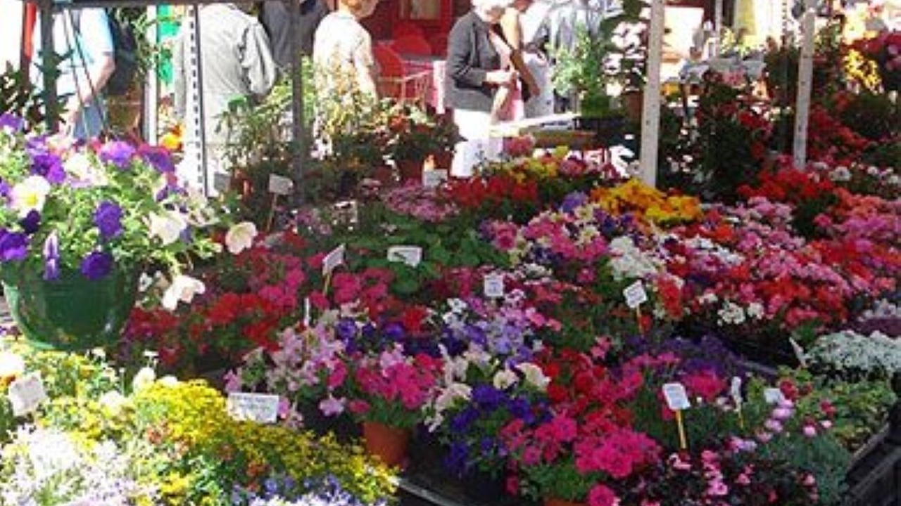 Photo of Outdoor in Saint-Sylvestre