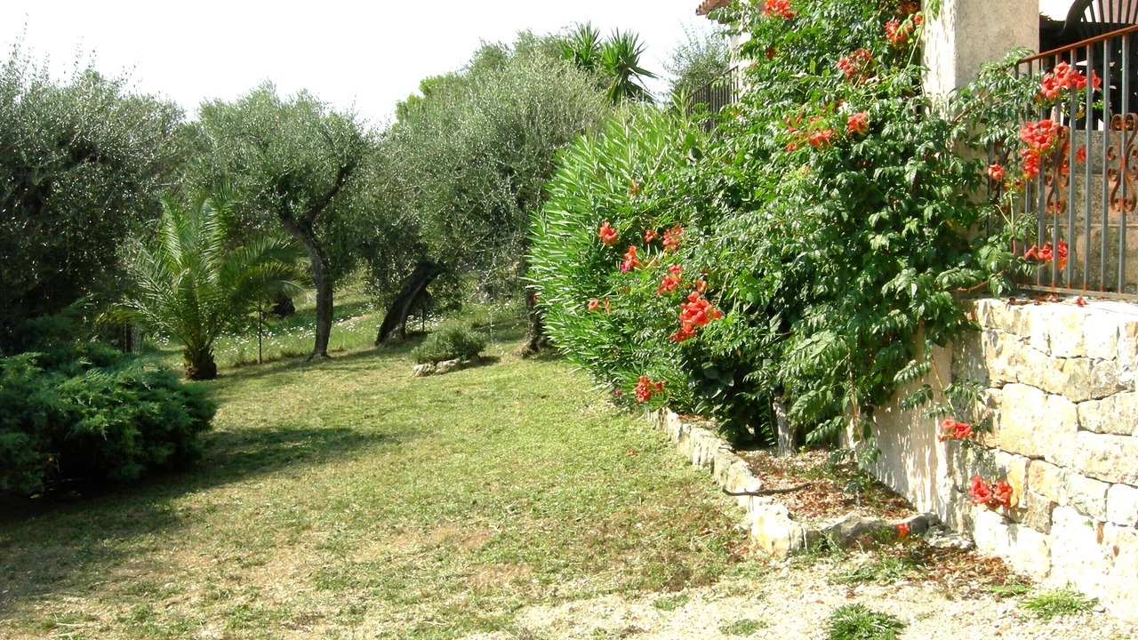 Photo of Outdoor in Speracedes