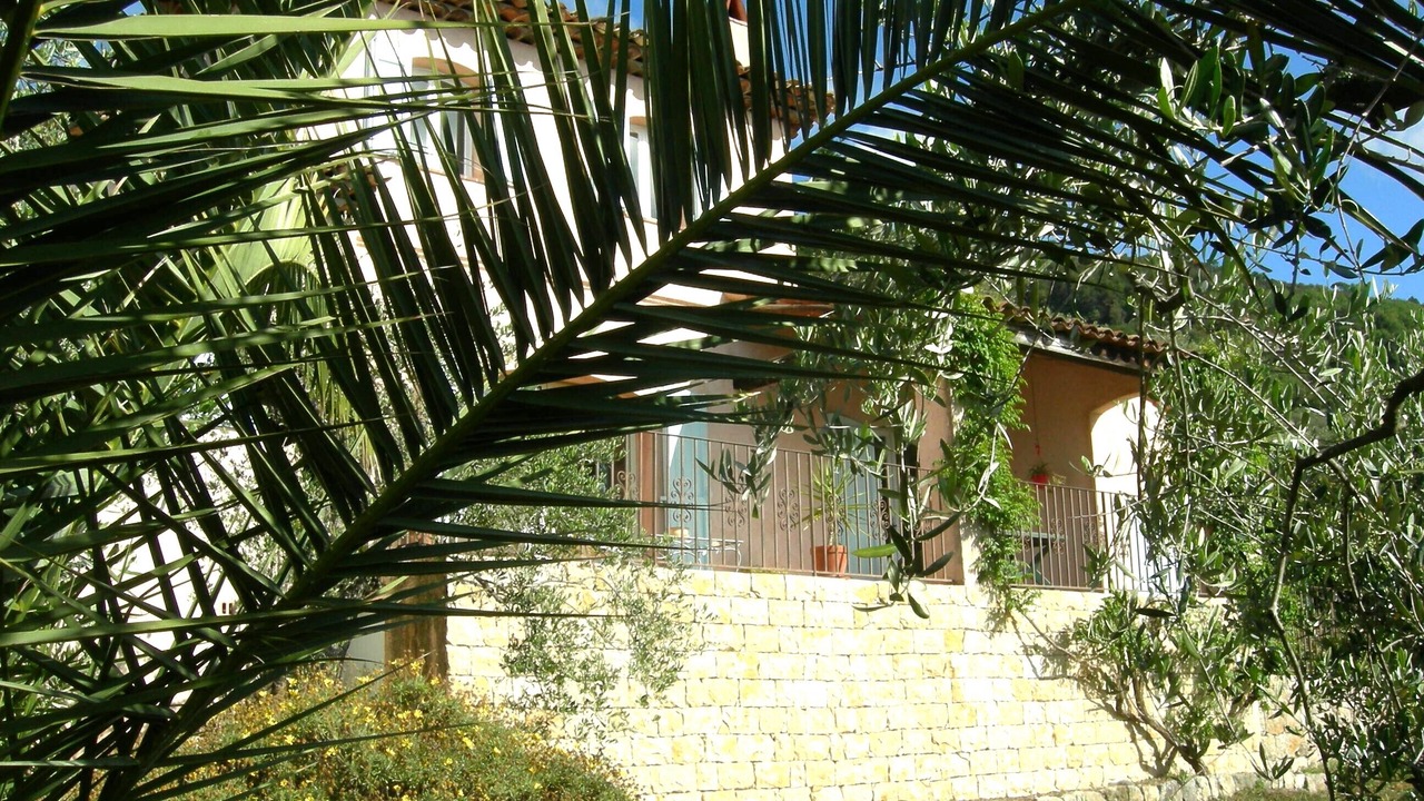 Photo of Outdoor in Speracedes