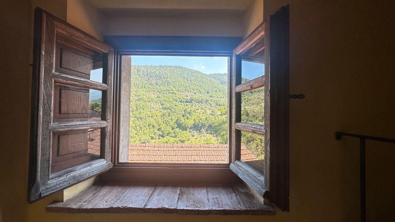 Photo of Others in Maglietola