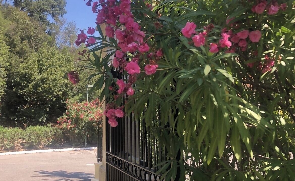 Photo of Outdoor in Cannes La Bocca