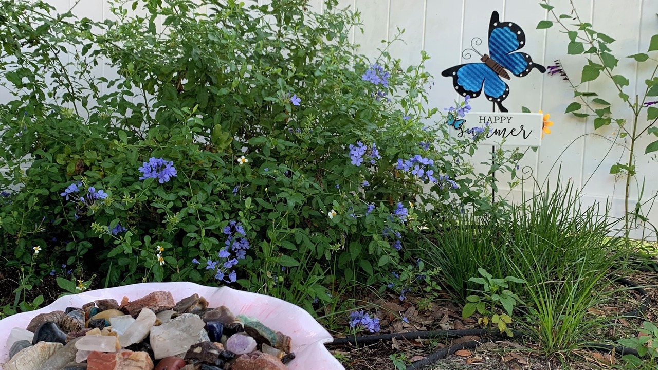 Photo of Outdoor in Longwood