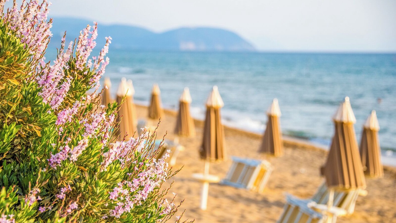 Photo of Others in Baratti