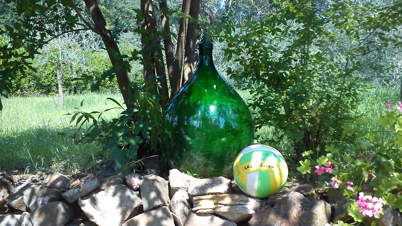 Photo of Others in Santa Luce