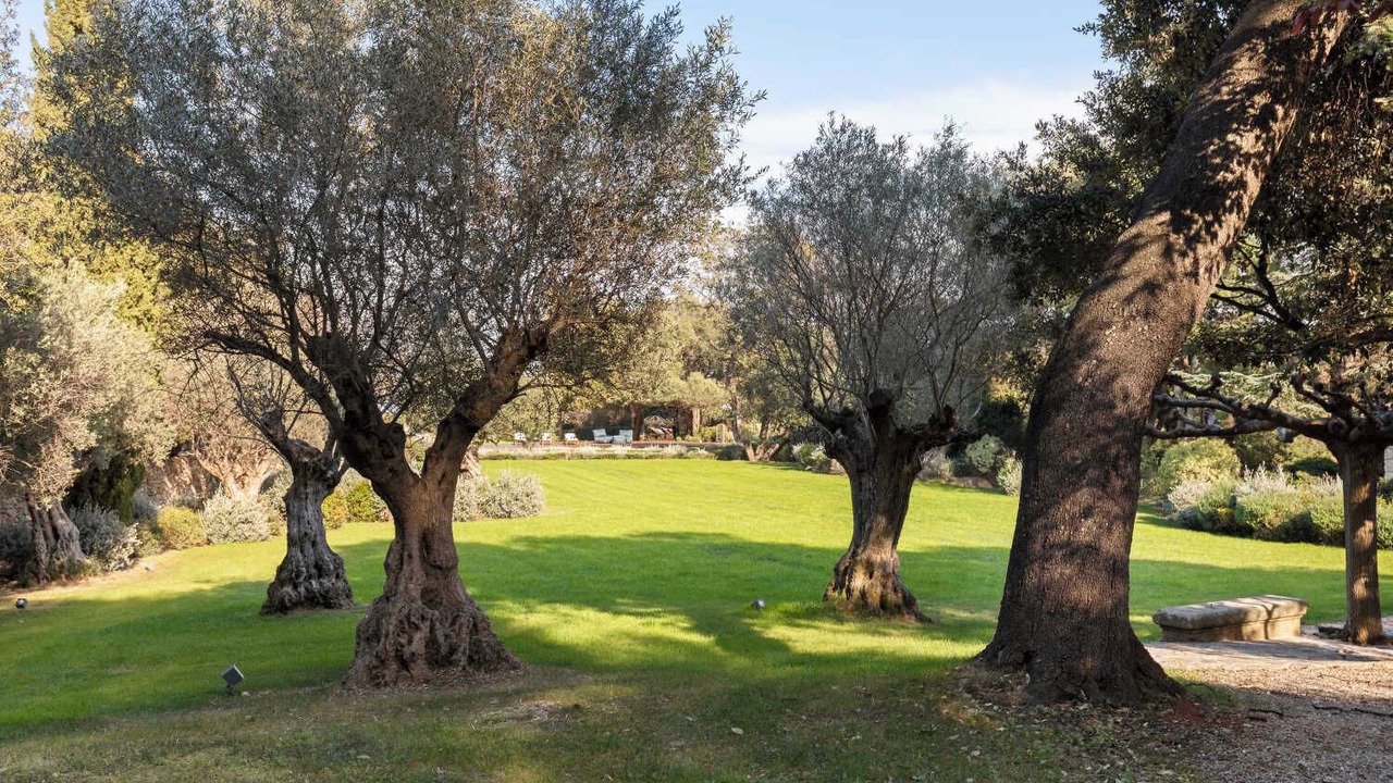 Photo of Outdoor in Vallauris