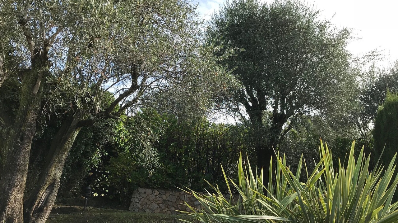 Photo of Outdoor in Contes
