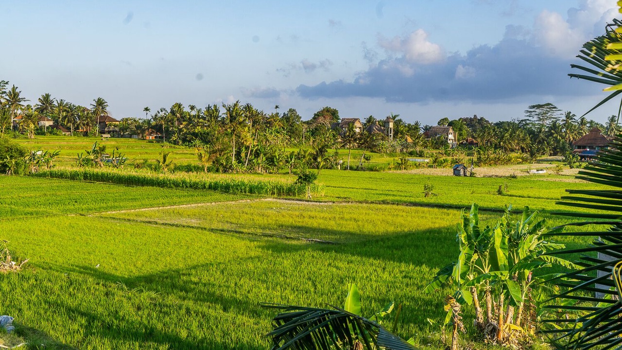 Photo of Others in Kedewatan