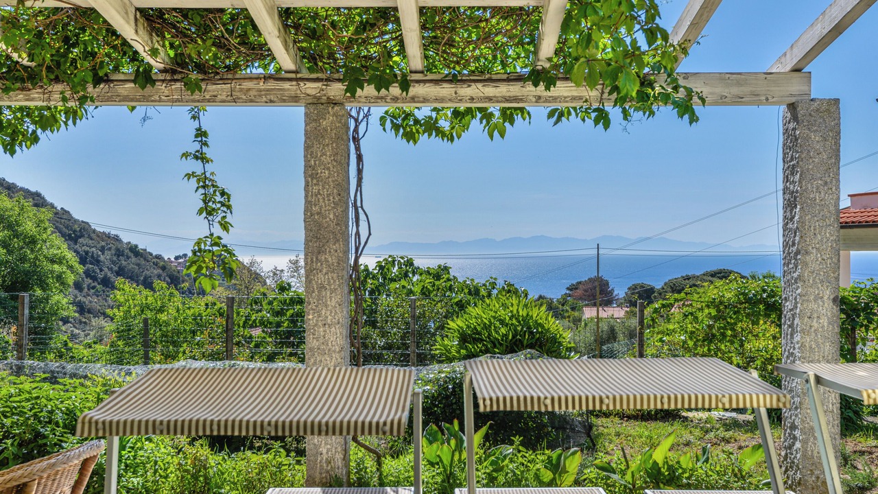 Photo of Outdoor in Zanca
