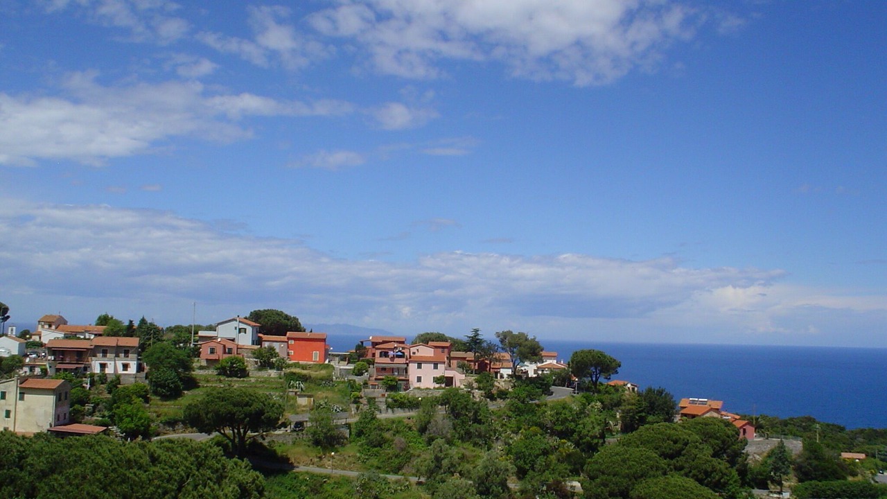 Photo of Others in Zanca