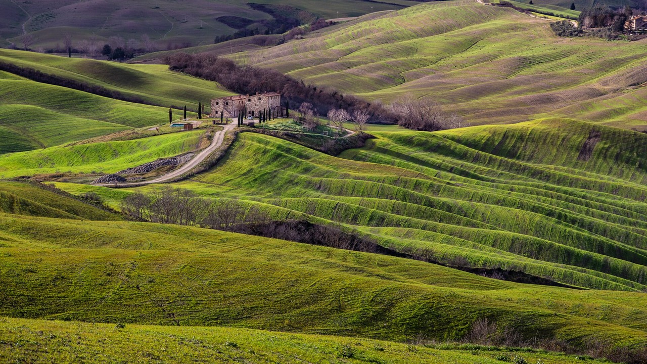 Photo of Outdoor in Asciano