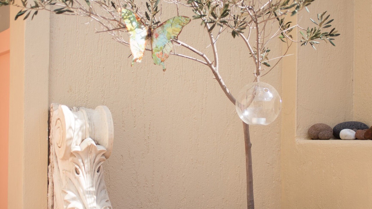 Photo of Outdoor in Agia Paraskevi