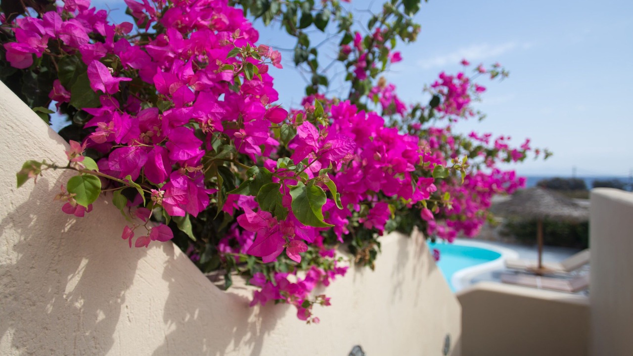 Photo of Outdoor in Agia Paraskevi