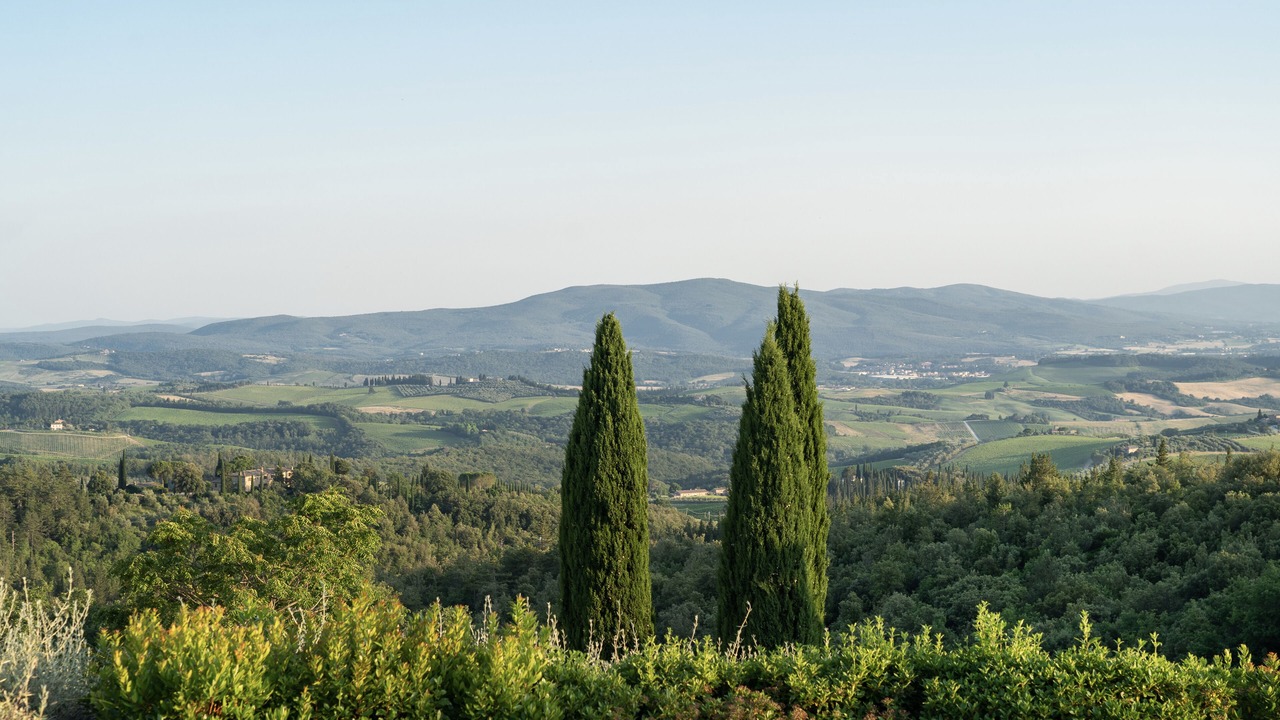 Photo of Others in Castellina in Chianti