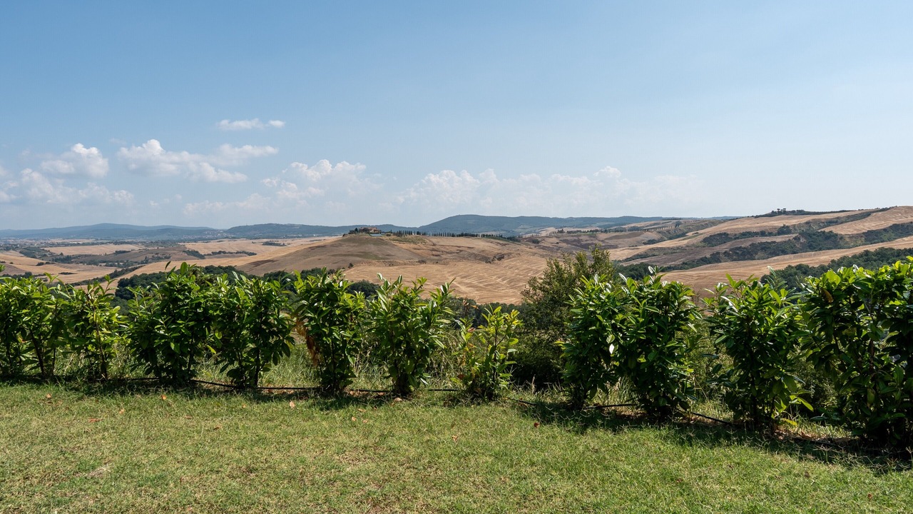 Photo of Others in Bollano