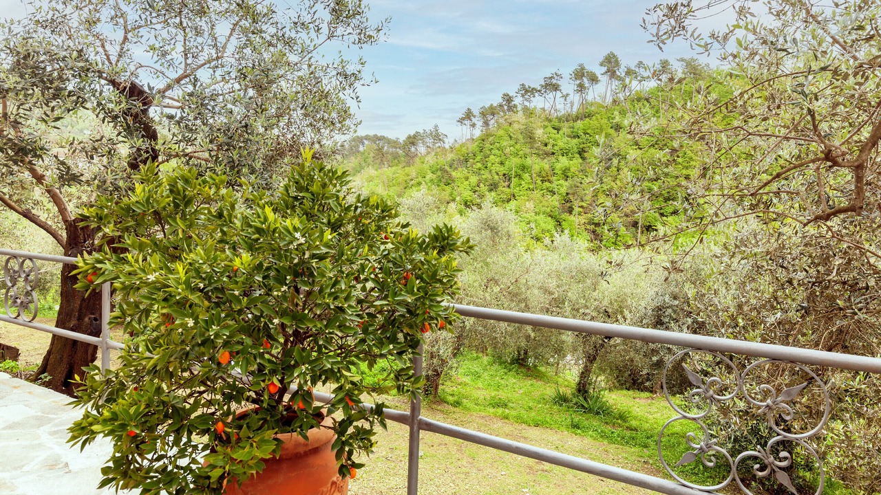 Photo of Outdoor in Podenzana